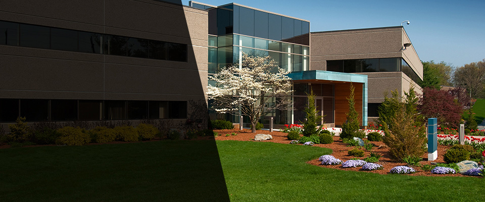 Hales Corners Landscapers