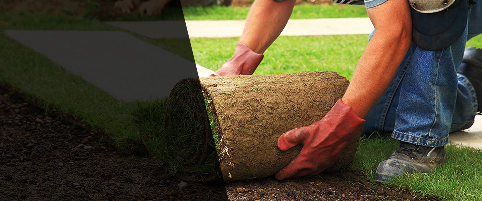 Hales Corners Landscapers